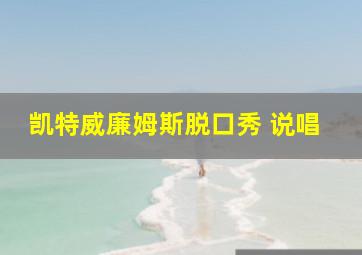 凯特威廉姆斯脱口秀 说唱